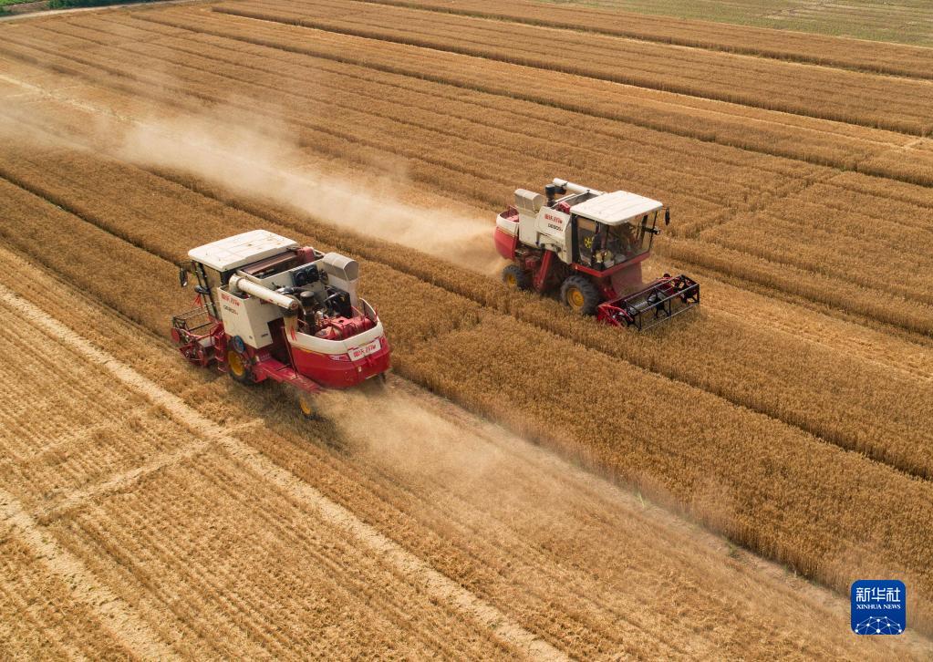 全國“三夏”小麥大規模機收基本結束