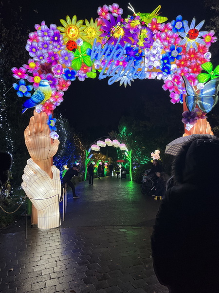 第五屆“野性之光”中國彩燈展點亮愛爾蘭
