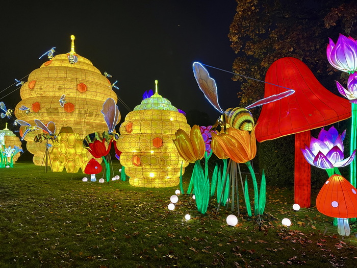第五屆“野性之光”中國彩燈展點亮愛爾蘭
