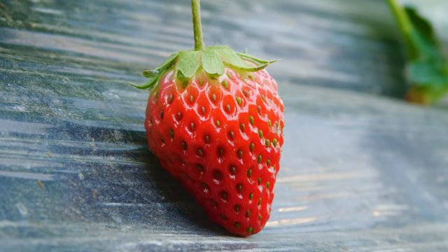 確山縣劉店鎮：草莓喜獲豐收   映紅“莓”好生活